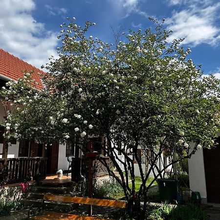 Magnolia Garden Διαμέρισμα Μίσκολτς Εξωτερικό φωτογραφία