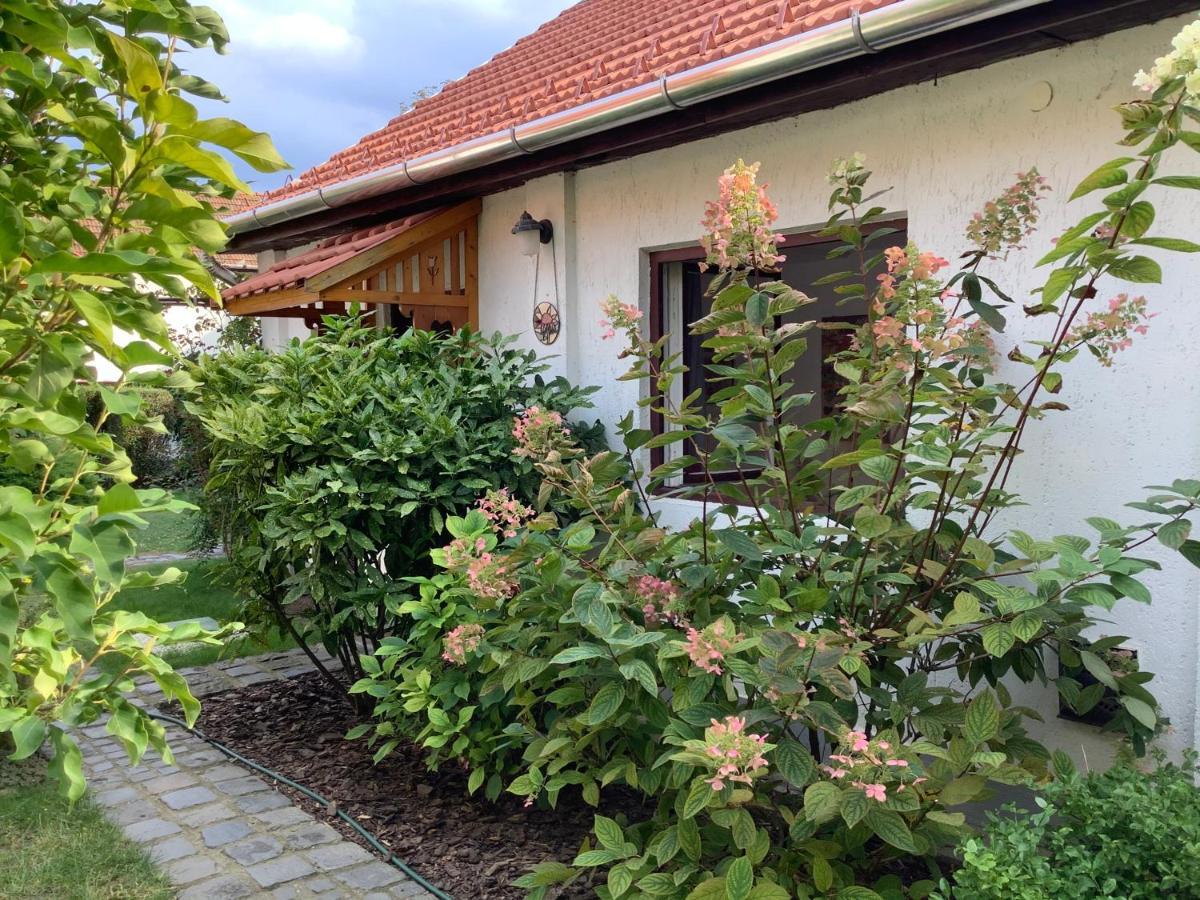 Magnolia Garden Διαμέρισμα Μίσκολτς Εξωτερικό φωτογραφία