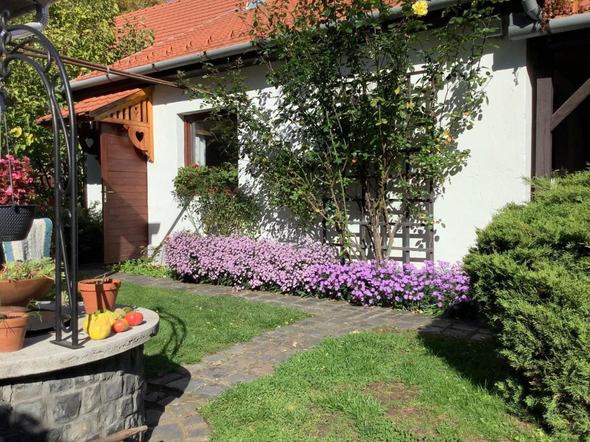 Magnolia Garden Διαμέρισμα Μίσκολτς Εξωτερικό φωτογραφία