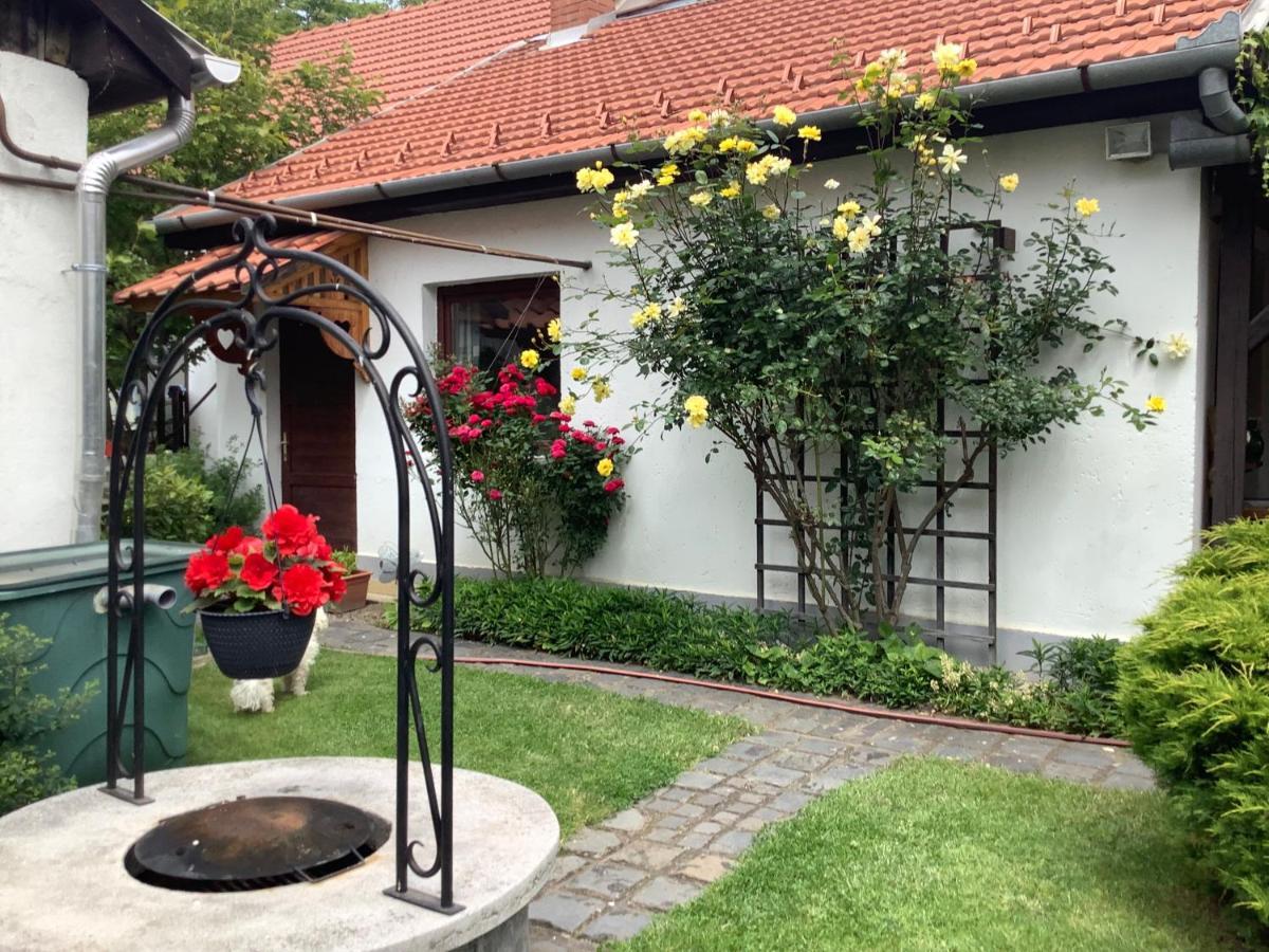 Magnolia Garden Διαμέρισμα Μίσκολτς Εξωτερικό φωτογραφία