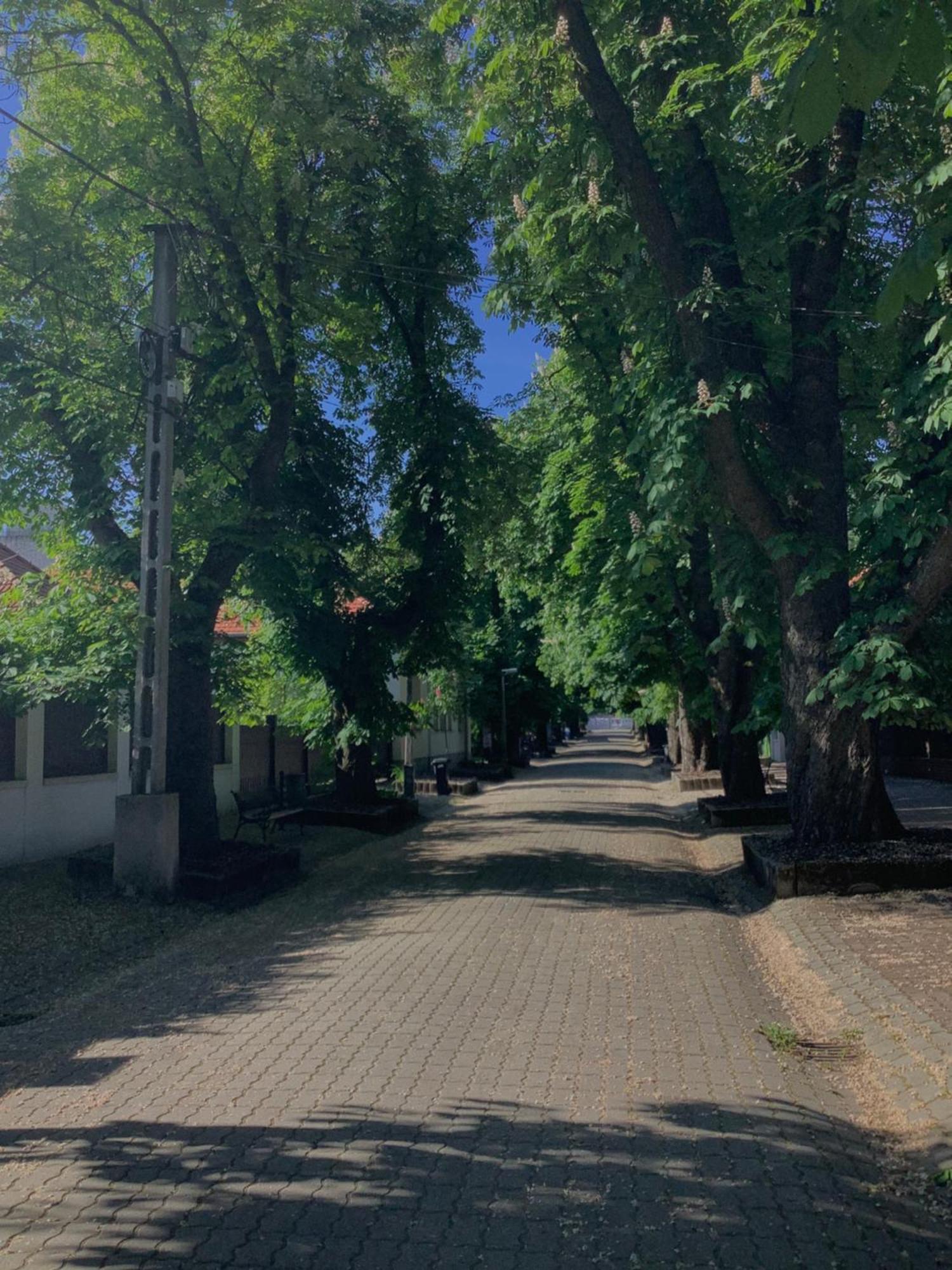 Magnolia Garden Διαμέρισμα Μίσκολτς Εξωτερικό φωτογραφία